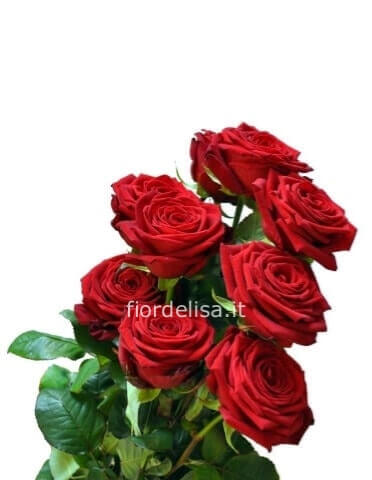 Rose rosse da 60 cm da comporre in mazzo per numero di steli con verde incluso